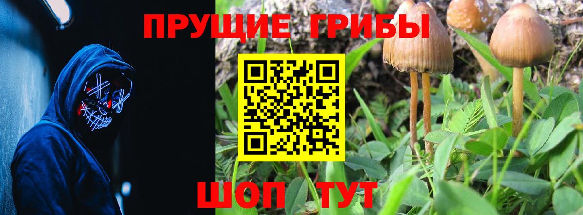 Великий Устюг  Псилоцибиновые грибы Magic Shrooms  Вход с VPN 